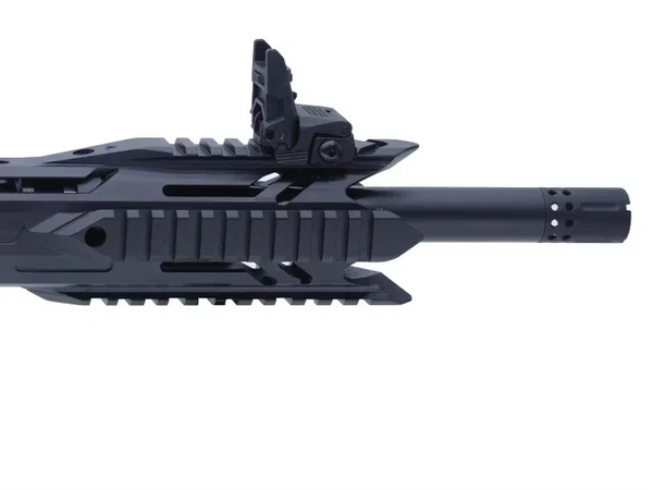 Vorderansicht Typhoon F12 Maxi Black mit Picatinny-Schiene und Klappvisier