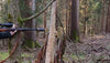Jäger mit Zielfernrohrgewehr zielt im Wald hinter Baumstumpf, Outdoor-Jagd-Szene
